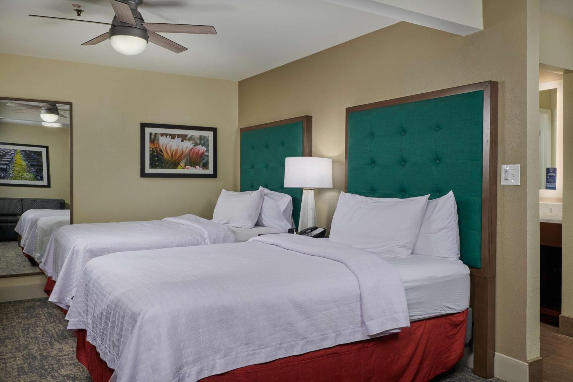 Homewood Suites By Hilton Sarasota Exterior foto